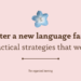 master a new language faster: practical strategies that work